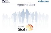 Curso Formacion Apache Solr