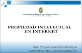 Propieddad Intelectual En Internet