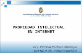 Propiedad Intelectual En Internet Con Citas[1]