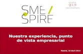Jornada smeSpire en España. Experiencia de otras empresas adheridas a la red