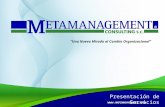 Presentación Metamanagement
