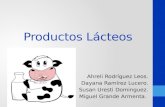 Productos lacteos