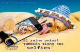 El reino animal tambien tiene sus selfies