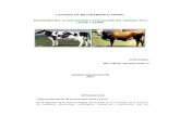 59836200 Evaluacion Bovino Tipo Leche y Carne
