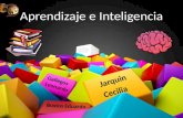 Aprendizaje e inteligencia (nueva)