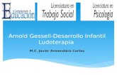 Arnold gessell desarrollo infantil-ludoterapia-Javier Armendariz Cortez