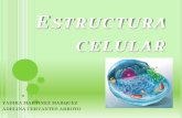 exposición microbiologia cap.2 estructura celular