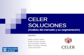 Celer Soluciones (Turno Mañana) - 2. Análisis del Mercado y su Segmentación