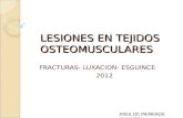 Lesiones en Tejidos Osteomusculares