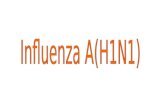 Influenza A(H1N1)