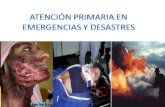 Atencion Primaria en Emergencia y Desastres