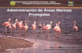 Administracion de Areas Marinas Protegidas (Ada Castillo)