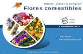 BCC flores comestibles v3 13 nov 2012