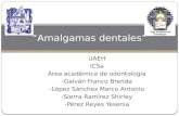 Amalgamas dentales (exposicion)