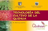 2.3.Tecnologia del cultivo de la Quinua.pdf