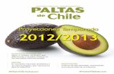 Paltas Chile e