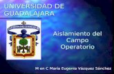 4ta. PRESENTACION ENDO i Aislamiento Del Campo Operatorio Camb