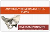 Anatomia y Biomecanica de La Pelvis