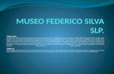 Museo federico silva .. expo