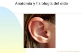 Curso de Anatomia y Fisiologia Del Oido, Hipoacusia y Trauma Acustico