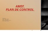 AMEF y Plan de Control