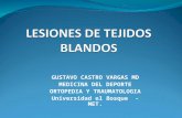 LESIONES DE TEJIDOS BLANDOS