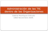 AdministracióN De Las Tic Dentro De Las Organizaciones Unid Nov 2009
