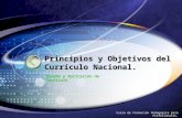 Principios y objetivos de curriculo nacional