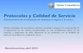 Protocolo & Calidad de Servicio v.05 perú&españa