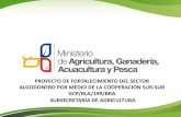 Estrategias Nacionales de desarrollo de la cadena del algodón en Ecuador.