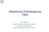 El nuevo marco estratégico de la FAO – Objetivos Estratégicos.