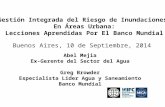 Abel Mejia Lecciones Aprendidas por el Banco Mundial - Buenos Aires