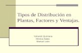 Tipos De distribucion en plantas, factores y ventajas.