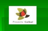 El Proyecto CEIBAL está en marcha
