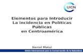 Políticas públicas e incidencia