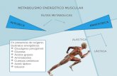 1-Metabolismo Energético Muscular