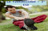 U.D. Ejercicio físico y salud: la flexibilidad