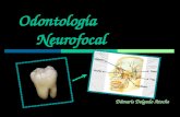 Odontología Neurofocal