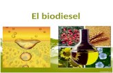 El biodiesel