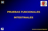 PRUEBAS FUNCIONALES 97-03