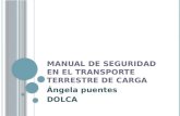 Manual de seguridad en el transporte terrestre de5
