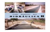 HIDRAULICA DE CANALES - PEDRO RODRIGUEZ