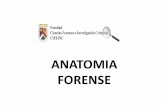 (Anatomia forense 1º sesion