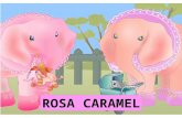 Rosa caramel
