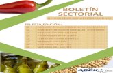 ADEX - Boletin Agroexportaciones 2013