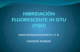 HIBRIDACION FLUORESCENTE IN SITU (FISH)