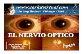 Nervio Optico  Fisiologia