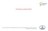 Transiluminacion testicular