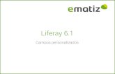 Liferay 6.1 Campos personalizados