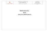 MANUAL SEGURIDAD DIARQCO.pdf